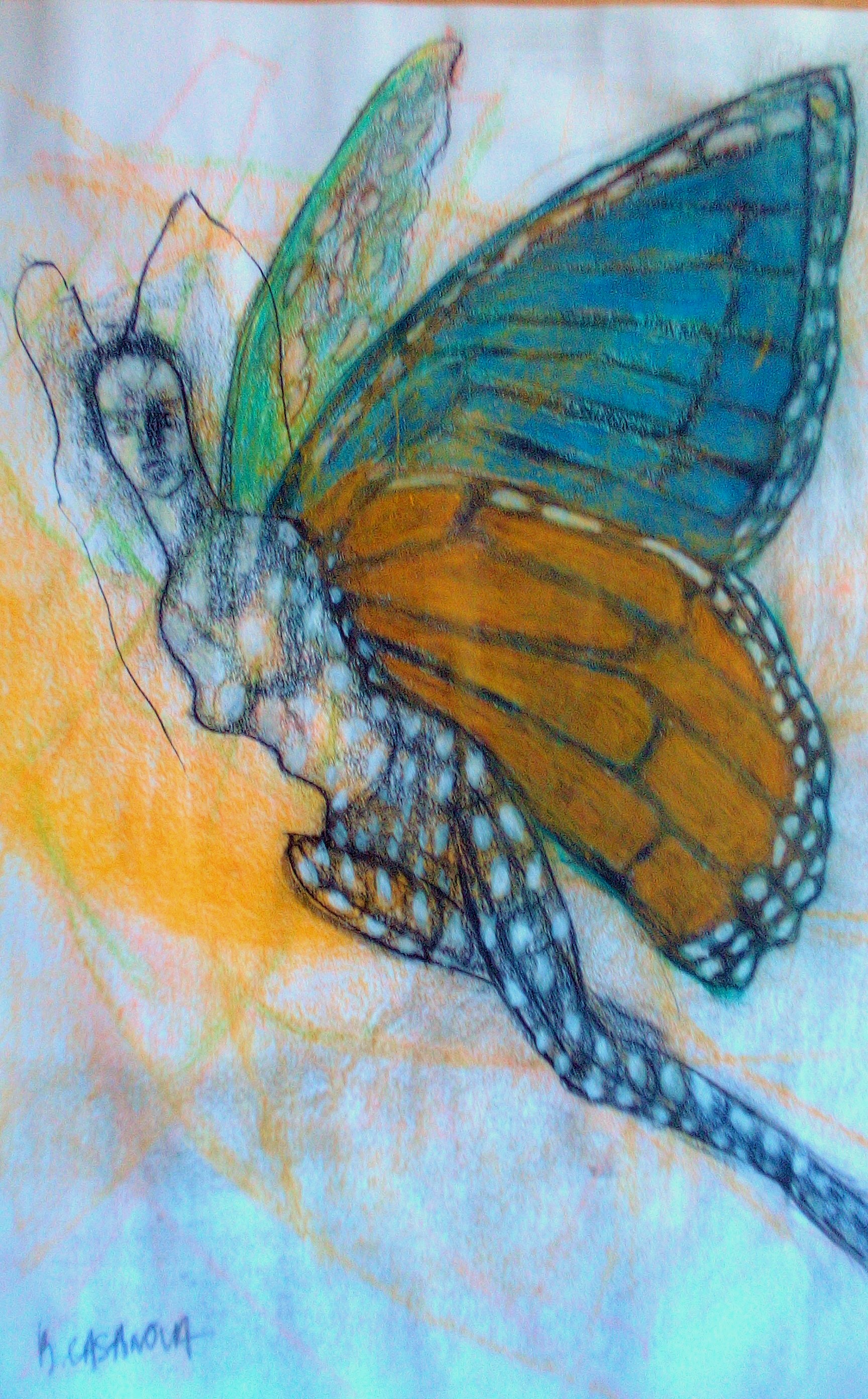 la-reine-des-monarques-pastels-secs-70x50cm