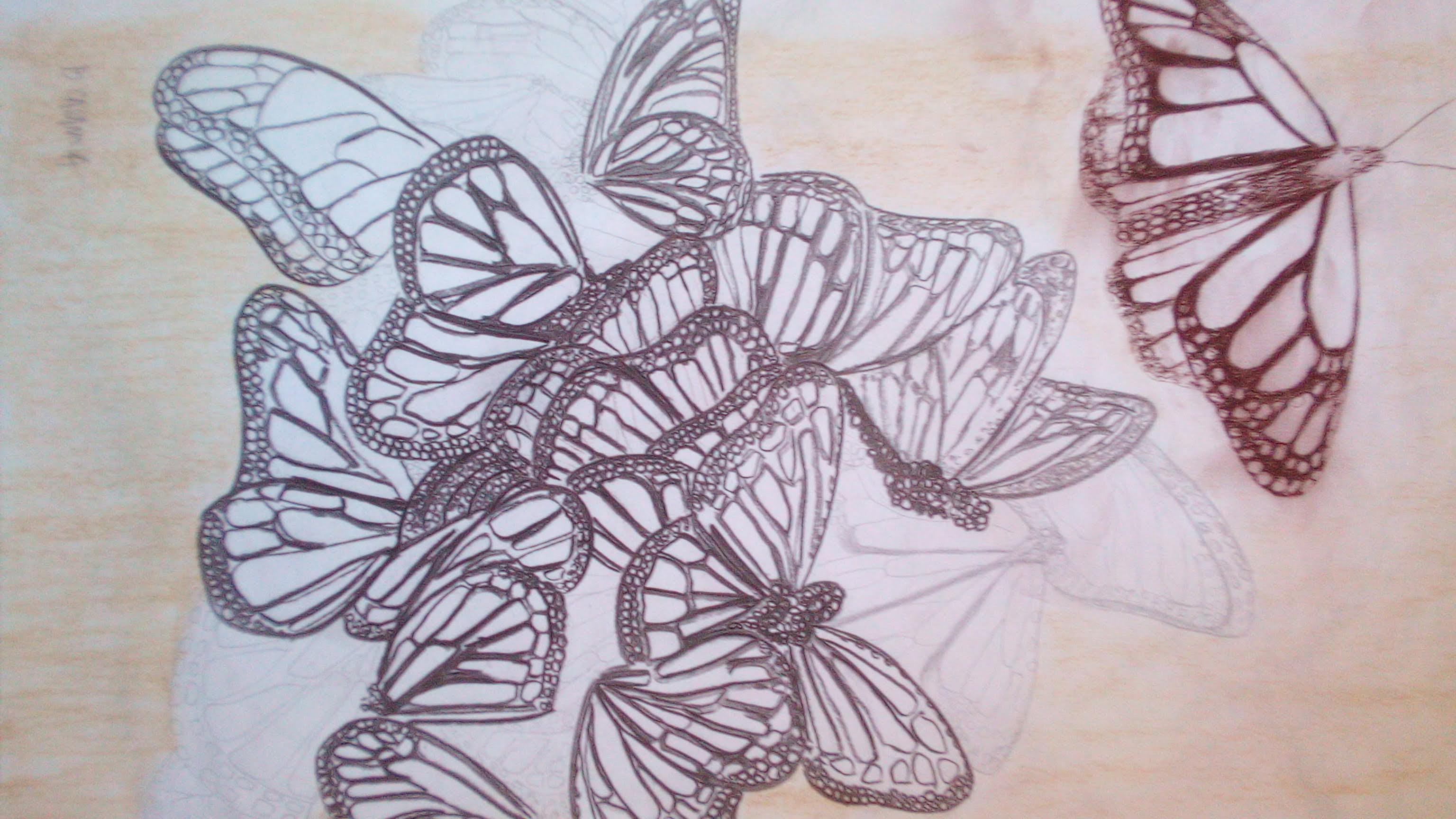 monarques-fusain-70x50cm