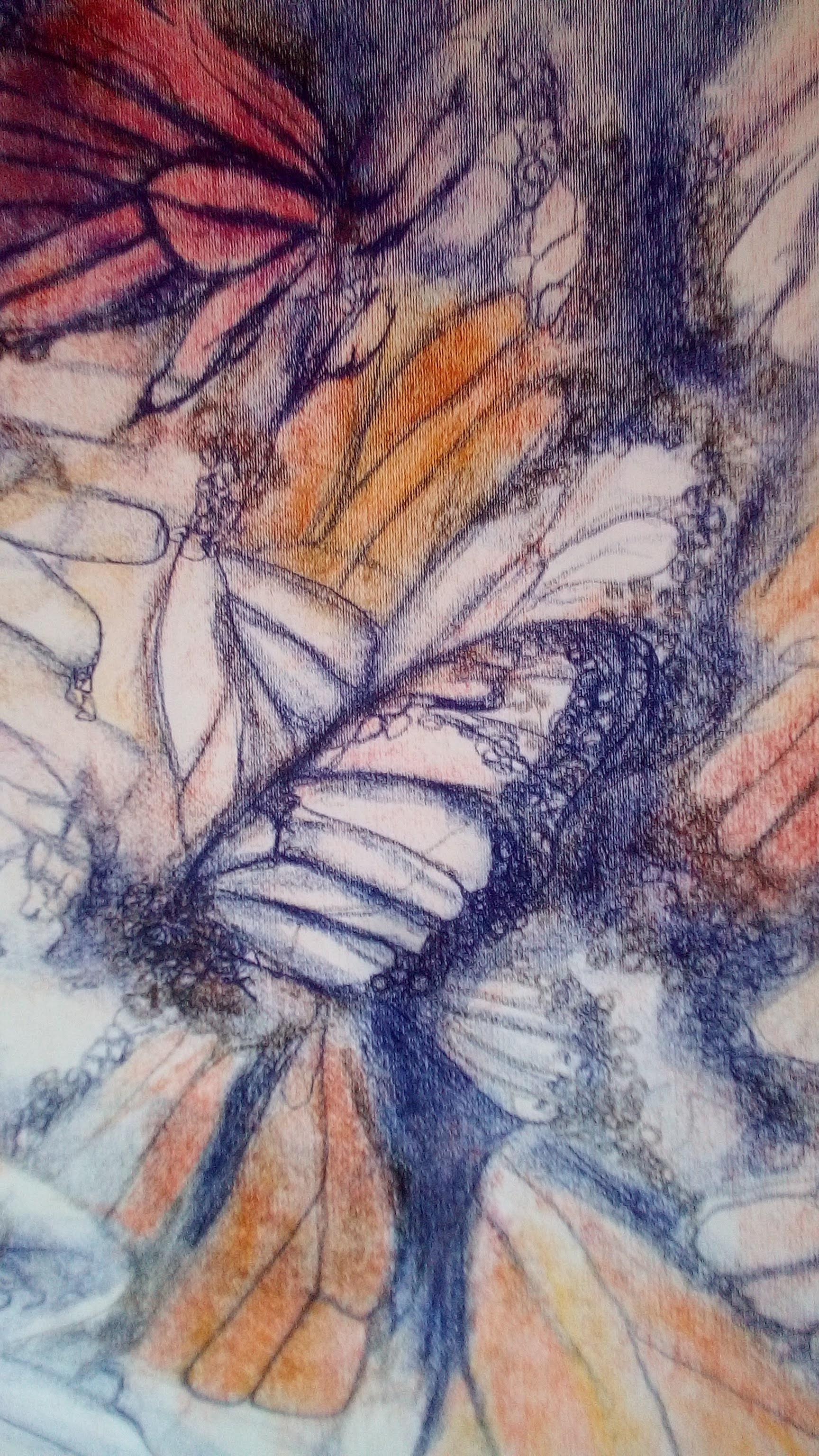 monarques-pastels-70x50cm