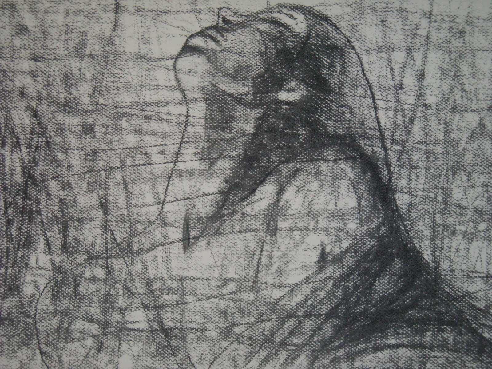 le-desir-50x60cm-fusain